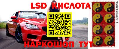 ГАЛЛЮЦИНОГЕННЫЕ ГРИБЫ Краснознаменск