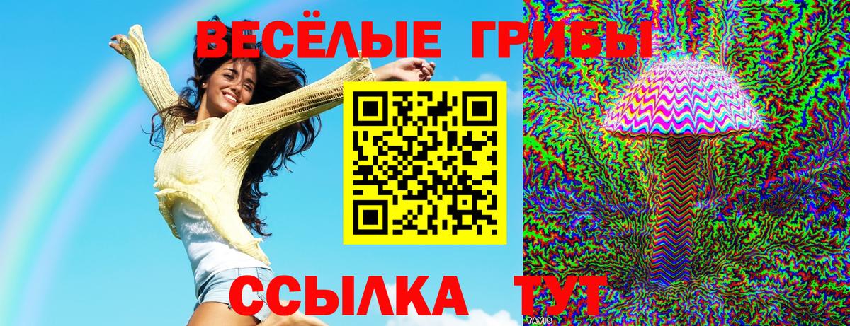 Чернушка  Галлюциногенные грибы GOLDEN TEACHER  Вход с VPN  Псилоцибиновые грибы Psilocybe 